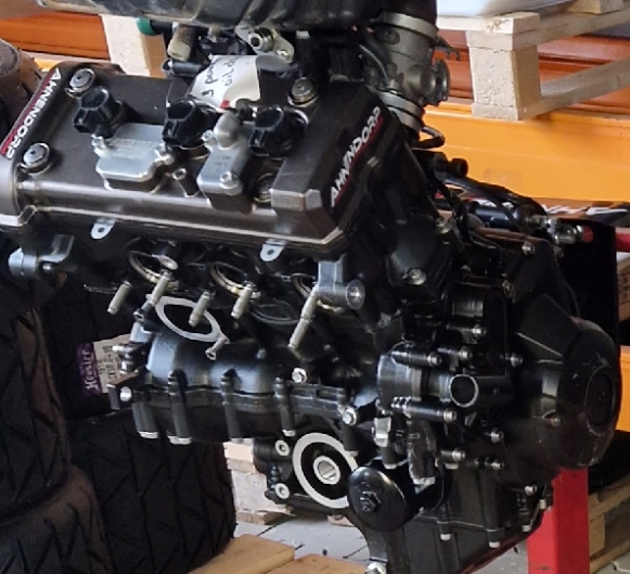 Motorrevision Yamaha MT09 RN29/RN43