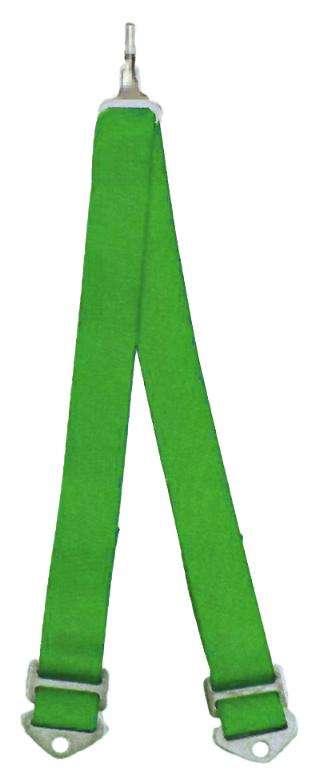 Beltenick 6-Punkt Schrittgurt Gurt NASCAR grün