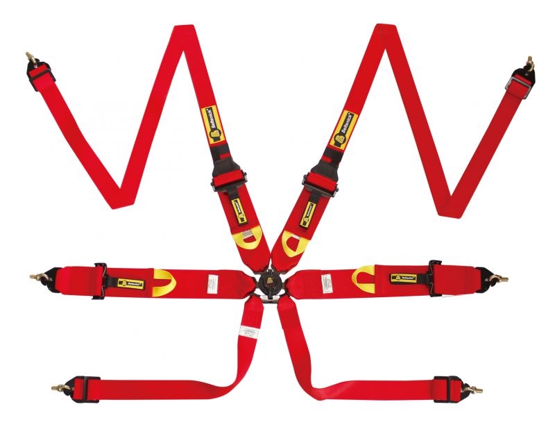 Beltenick FIA 76/50mm HANS Gurt FIA 8853-2016