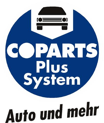 Car 1-Glühlampe Kugel 12V 4W BA9S